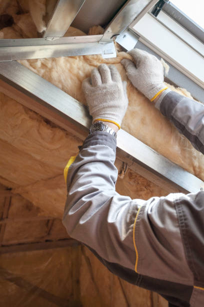 Best Geographic-Specific Insulation Services in Somerset, OH